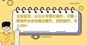 全网首发，AI公众号爆文插件，只需一款插件全自动输出爆文，矩阵操作，月入3W+【揭秘】-云途资源库