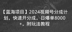 【蓝海项目】2024视频号分成计划，快速开分成，日爆单8000+，附玩法教程-云途资源库