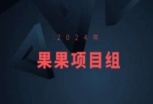 2024年果果项目组项目合集-果果最新项目-云途资源库