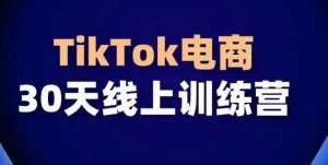 TikTok电商带货30天线上课,不可错过的全球流量洼地!-云途资源库