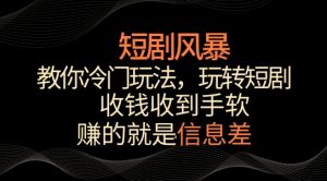短剧风暴,教你冷门玩法,玩转短剧,收钱收到手软【揭秘】-云途资源库