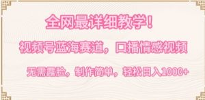 全网最详细教学，视频号蓝海赛道，口播情感视频，无需露脸，制作简单，轻松实现日入1000+【揭秘】-云途资源库