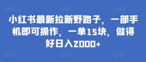小红书最新拉新野路子，一部手机即可操作，一单15块，做得好日入2000+【揭秘】-云途资源库