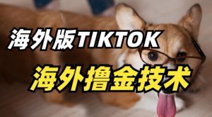 抖音海外版tiktok撸金技术，这个风口行业，赚钱真的不难【揭秘】-云途资源库