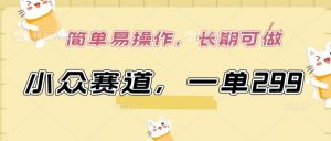 小众赛道，一单299.简单易操作，长期可做【揭秘】-云途资源库