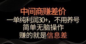 中间商赚差价，一单纯利润30+，简单无脑操作，赚的就是信息差，轻轻松松日入1000+【揭秘】-云途资源库