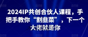 2024IP共创合伙人课程，手把手教你“割韭菜”，下一个大佬就是你-云途资源库