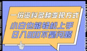 一份资料多种变现方式，小白也能轻松上手，日入800不是问题【揭秘】-云途资源库