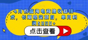 4月份蓝海电商撸收益技术，长期稳定项目，单月利润5000+【揭秘】-云途资源库
