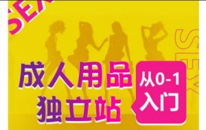成人用品独立站从0-1入门，成品独立站运营全流程教学，七大好卖成品独立站推荐-云途资源库