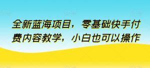 全新蓝海项目，零基础快手付费内容教学，小白也可以操作【揭秘】-云途资源库
