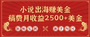 小说出海赚美金，稿费月收益2500+美金，仅需chatgpt粘贴复制，新手也能玩转【揭秘】-云途资源库