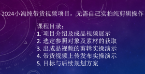 2024小淘纯带货视频项目，无需自己实拍纯剪辑操作-云途资源库