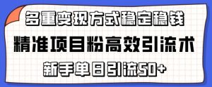 精准项目粉高效引流术，新手单日引流50+，多重变现方式稳定赚钱【揭秘】-云途资源库