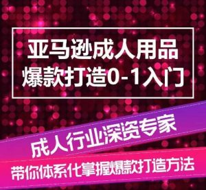 亚马逊成人用品爆款打造0-1入门，系统化讲解亚马逊成人用品爆款打造的流程-云途资源库