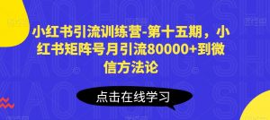 小红书引流训练营-第十五期，小红书矩阵号月引流80000+到微信方法论-云途资源库