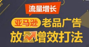 亚马逊流量增长-老品广告放量增效打法，循序渐进，打造更多TOP listing​-云途资源库