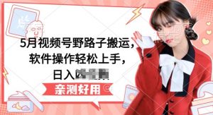 5月视频号野路子搬运，软件操作轻松上手，日入三位数【揭秘】-云途资源库