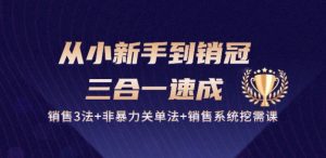 从小新手到销冠 三合一速成：销售3法+非暴力关单法+销售系统挖需课 (27节)-云途资源库