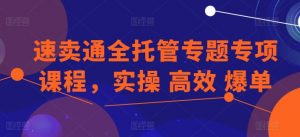 速卖通全托管专题专项课程，实操 高效 爆单-云途资源库