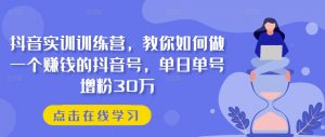 抖音实训训练营，教你如何做一个赚钱的抖音号，单日单号增粉30万-云途资源库