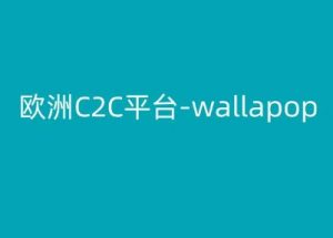 欧洲C2C平台-wallapop-kim跨境电商教程-云途资源库
