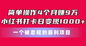 简单操作4个月赚9w，小红书打卡日变现1k，一个被忽视的暴力项目【揭秘】-云途资源库