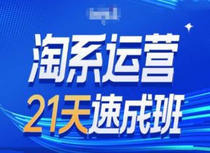 淘系运营24天速成班第28期最新万相台无界带免费流量-云途资源库