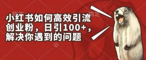 小红书如何高效引流创业粉，日引100+，解决你遇到的问题【揭秘】-云途资源库