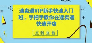 速卖通VIP新手快速入门班，手把手教你在速卖通快速开店-云途资源库