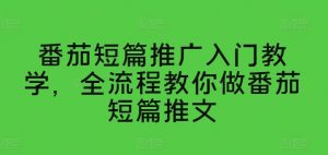 番茄短篇推广入门教学，全流程教你做番茄短篇推文-云途资源库