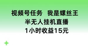 视频号任务，我是螺丝王， 半无人挂机1小时收益15元【揭秘】-云途资源库