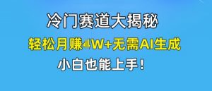 冷门赛道大揭秘，轻松月赚1W+无需AI生成，小白也能上手【揭秘】-云途资源库