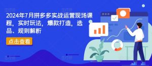 2024年7月拼多多实战运营现场课程，实时玩法，爆款打造，选品、规则解析-云途资源库