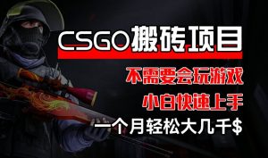 CSGO 装备搬砖项目，操作简单，不需要会玩游戏，小白也能快速上手，一个月轻松大几千【揭秘】-云途资源库
