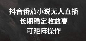 抖音番茄小说无人直播，长期稳定收益高，可矩阵操作【揭秘】-云途资源库