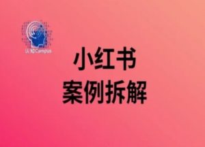 小红书案例拆解，深度解读小红书40万粉-云途资源库