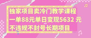 独家项目卖冷门教学课程一单88元单日变现5632元违规不封号长期项目【揭秘】-云途资源库