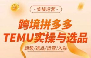 跨境拼多多TEMU实操与选品，多多temu跨境选品运营实操-云途资源库