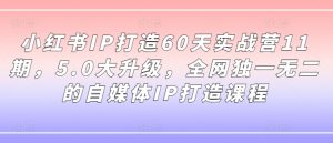 小红书IP打造60天实战营11期，5.0大升级，全网独一无二的自媒体IP打造课程-云途资源库