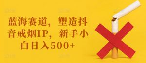 蓝海赛道，塑造抖音戒烟IP，新手小白日入500+【揭秘】-云途资源库