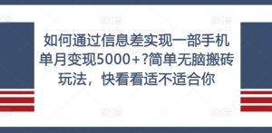 如何通过信息差实现一部手机单月变现5000+?简单无脑搬砖玩法，快看看适不适合你【揭秘】-云途资源库