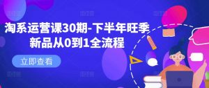 淘系运营课30期-下半年旺季新品从0到1全流程-云途资源库