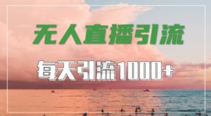 抖音快手视频号全平台通用，无人直播引流法，超暴力引流1000+高质量精准创业粉【揭秘】-云途资源库