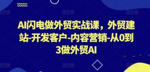 AI闪电做外贸实战课，​外贸建站-开发客户-内容营销-从0到3做外贸AI（更新）-云途资源库