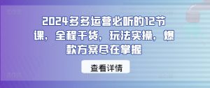 2024多多运营必听的12节课，全程干货，玩法实操，爆款方案尽在掌握-云途资源库