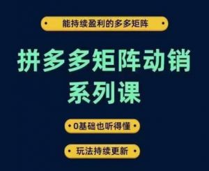 拼多多矩阵动销系列课，能持续盈利的多多矩阵，0基础也听得懂，玩法持续更新-云途资源库