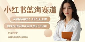 小红书蓝海赛道，圈中高端职场人，月入无上限，可矩阵，内含私域实操教程!-云途资源库