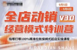 全店动销经营模式特训营，指哪打哪100%精准拉新保姆式起店实操课程-云途资源库