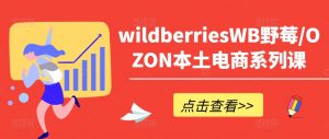 wildberriesWB野莓/OZON本土电商系列课，掌握WB产品优化，出单技巧和订单处理等-云途资源库
